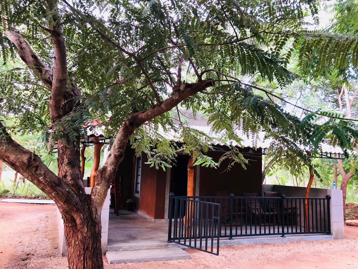 The Summer Corridor - Kataragama Luaran gambar