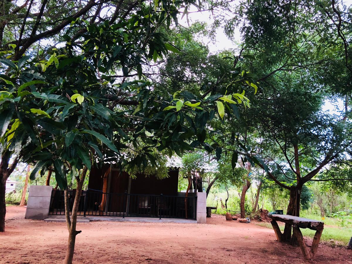 The Summer Corridor - Kataragama Luaran gambar